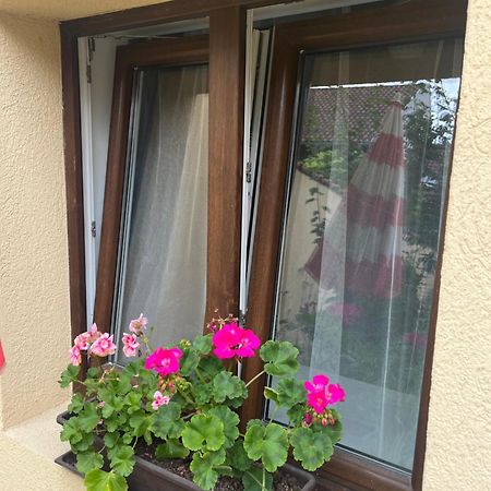 Kerti Franciaagyas Apartman Вац Экстерьер фото